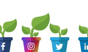 Social Media Growth Tips