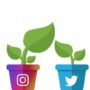 Social Media Growth Tips