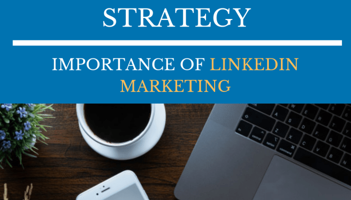 Building a LinkedIn Marketing Strategy