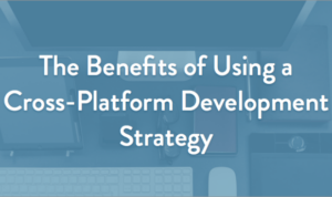 Developing a Cross-Platform Strategy